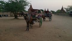 ミャンマー バガン 馬車 写真