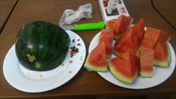 water melon、モーラミャイン・トラベル・インフォメーション、果物、フルーツ