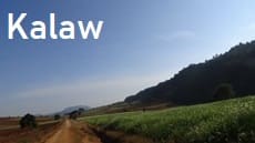 カロー Kalaw ミャンマー 旅行 観光,情報 行き方 みどころ おすすめ Myanmar Travel Information