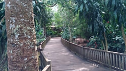 ナショナル　カンダウィ　ガーデン National Kandawgyi Gardens 公園 写真 photo