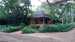 ナショナル　カンダウィ　ガーデン National Kandawgyi Gardens 公園 写真 photo